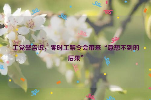 工党警告说，零时工禁令会带来“意想不到的后果”