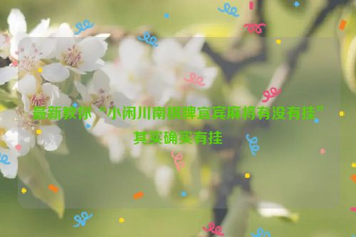 最新教你“小闲川南棋牌宜宾麻将有没有挂”其实确实有挂
