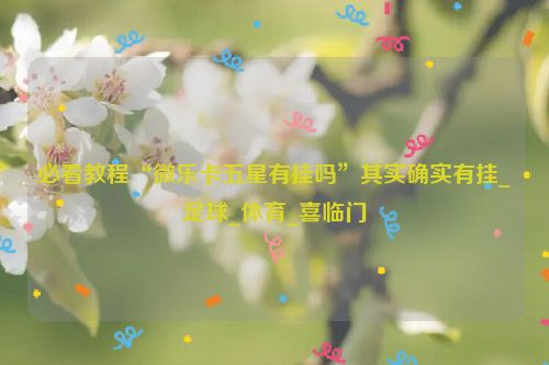 必看教程“微乐卡五星有挂吗”其实确实有挂_足球_体育_喜临门