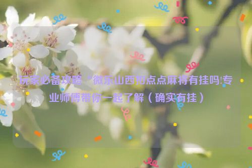 玩家必备攻略“微乐山西扣点点麻将有挂吗!专业师傅带你一起了解（确实有挂）