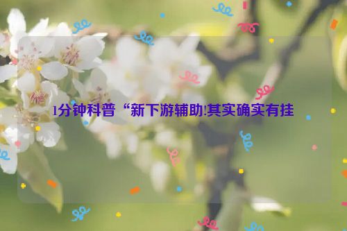 1分钟科普“新下游辅助!其实确实有挂