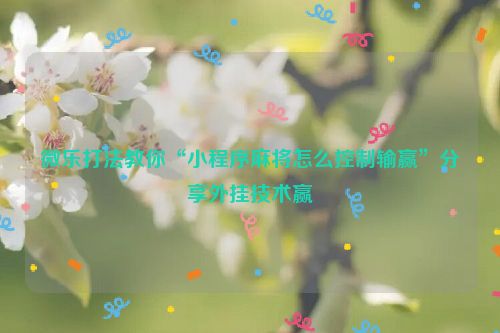 微乐打法教你“小程序麻将怎么控制输赢”分享外挂技术赢
