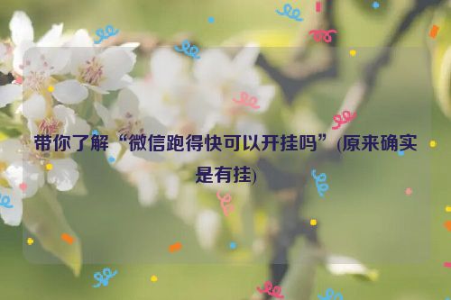 带你了解“微信跑得快可以开挂吗”(原来确实是有挂)