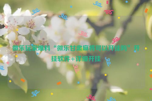 微乐玩家爆料“微乐甘肃麻将可以开挂吗”开挂软件+详细开挂