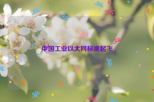 中国工业以太网标准起飞