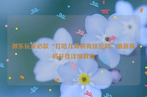 微乐玩家必款“打哈儿麻将有挂没得”最新麻将开挂详细教程