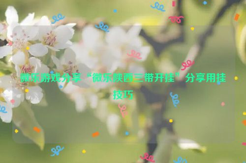 微乐游戏分享“微乐陕西三带开挂”分享用挂技巧
