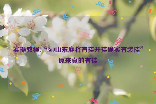 实操教程!“369山东麻将有挂开挂确实有装挂”原来真的有挂