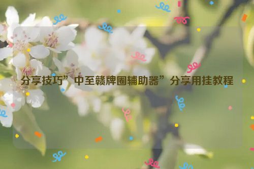 分享技巧”中至赣牌圈辅助器”分享用挂教程