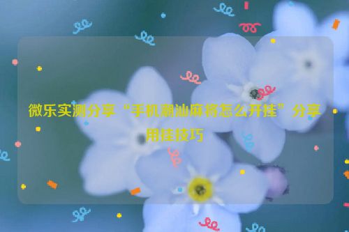 微乐实测分享“手机潮汕麻将怎么开挂”分享用挂技巧
