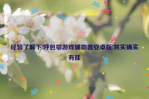 经验了解下!呼包鄂游戏辅助器安卓版!其实确实有挂