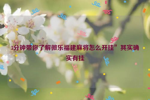 3分钟带你了解微乐福建麻将怎么开挂”其实确实有挂