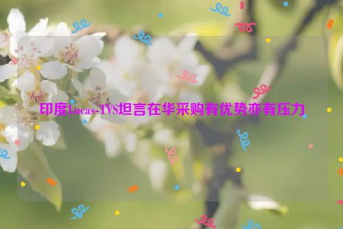印度Lucas-TVS坦言在华采购有优势亦有压力
