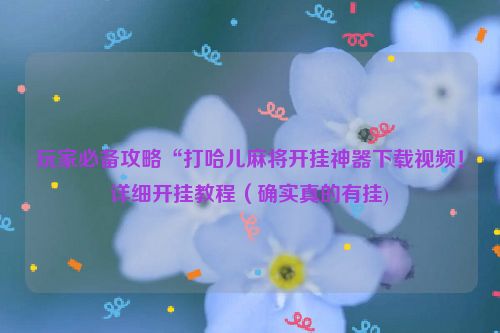 玩家必备攻略“打哈儿麻将开挂神器下载视频！详细开挂教程（确实真的有挂)