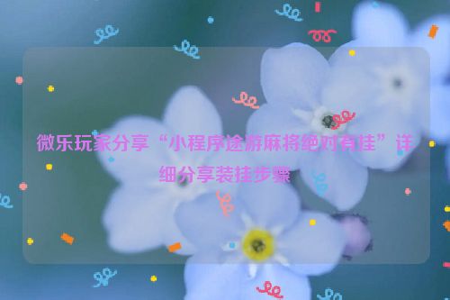 微乐玩家分享“小程序途游麻将绝对有挂”详细分享装挂步骤