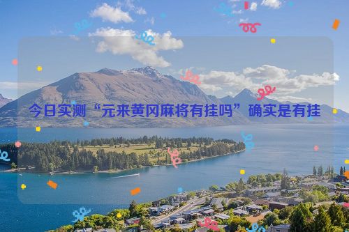 今日实测“元来黄冈麻将有挂吗”确实是有挂