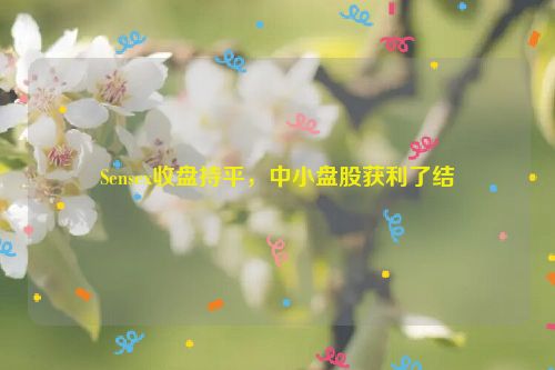 Sensex收盘持平，中小盘股获利了结