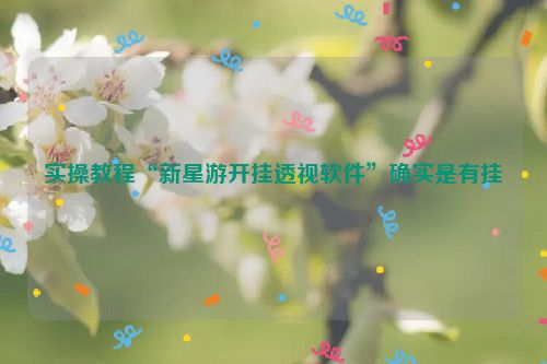 实操教程“新星游开挂透视软件”确实是有挂
