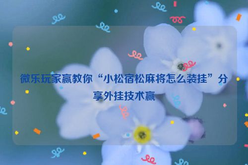 微乐玩家赢教你“小松宿松麻将怎么装挂”分享外挂技术赢