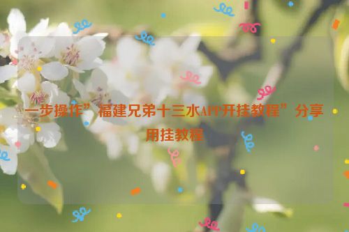 一步操作”福建兄弟十三水APP开挂教程”分享用挂教程