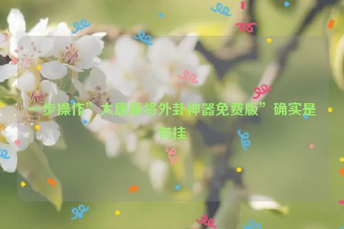 一步操作”大唐麻将外卦神器免费版”确实是有挂