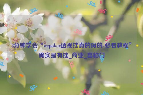 3分钟学会“wepoker透视挂真的假的-必看教程”确实是有挂_商业_喜临门