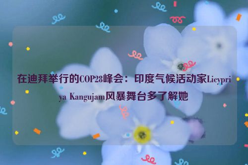在迪拜举行的COP28峰会：印度气候活动家Licypriya Kangujam风暴舞台多了解她