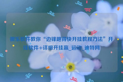 微乐软件教你“边锋跑得快开挂教程方法”开挂软件+详细开挂赢_运动_迪特网