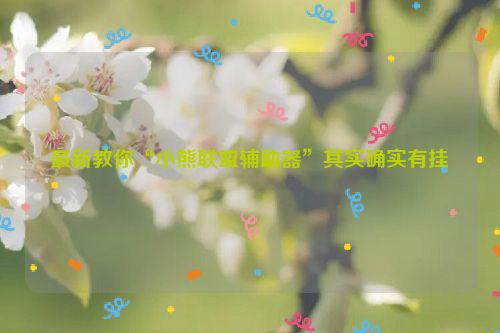 最新教你“小熊联盟辅助器”其实确实有挂