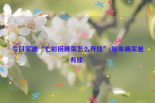 今日实测“七彩捞腌菜怎么开挂”(原来确实是有挂)