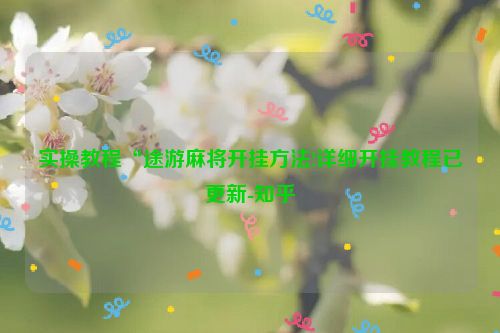 实操教程“途游麻将开挂方法!详细开挂教程已更新-知乎