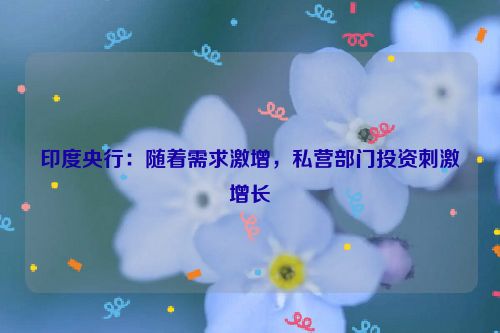 印度央行：随着需求激增，私营部门投资刺激增长