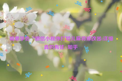 简单学会“微信小程序打哈儿麻将修改器(详细真的有挂)-知乎