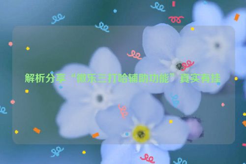 解析分享“微乐三打哈辅助功能”真实有挂