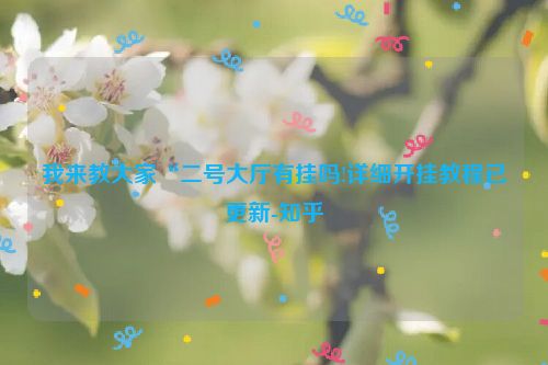 我来教大家“二号大厅有挂吗!详细开挂教程已更新-知乎