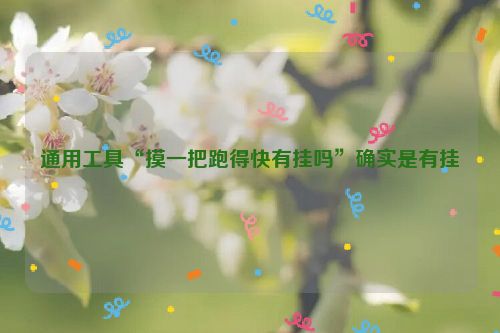 通用工具“摸一把跑得快有挂吗”确实是有挂
