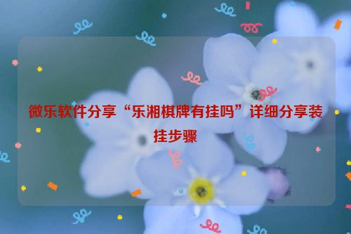 微乐软件分享“乐湘棋牌有挂吗”详细分享装挂步骤