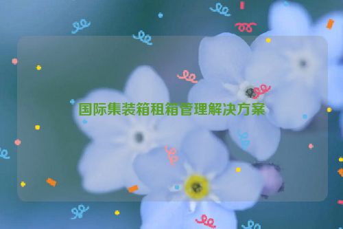 国际集装箱租箱管理解决方案