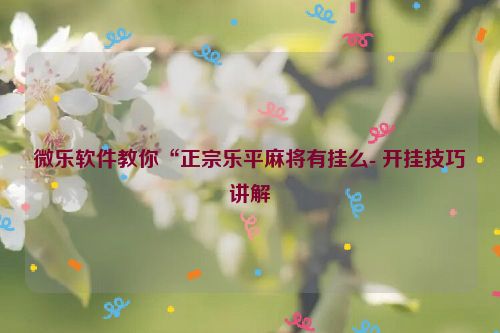 微乐软件教你“正宗乐平麻将有挂么- 开挂技巧讲解