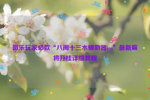 微乐玩家必款“八闽十三水辅助器ios”最新麻将开挂详细教程
