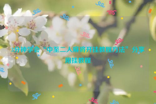 3分钟学会“中至二人麻将开挂教程方法”分享用挂教程