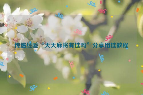 传递经验“天天麻将有挂吗”分享用挂教程