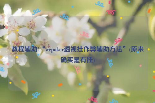 教程辅助!“wepoker透视挂作弊辅助方法”(原来确实是有挂)
