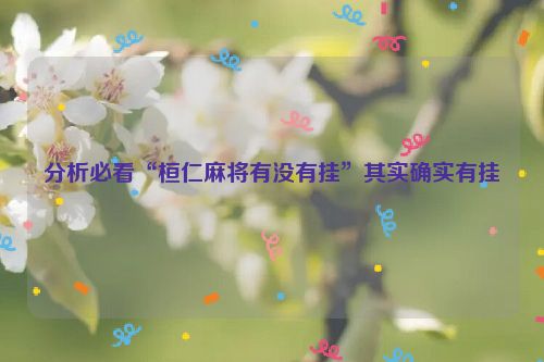 分析必看“桓仁麻将有没有挂”其实确实有挂