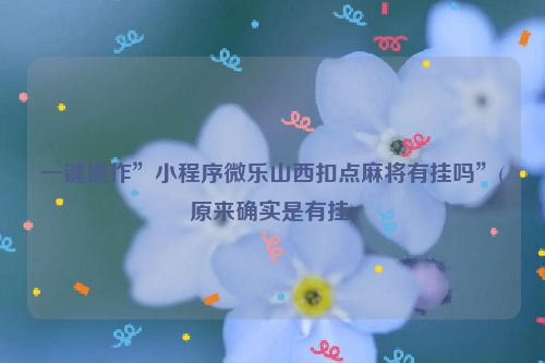 一键操作”小程序微乐山西扣点麻将有挂吗”(原来确实是有挂)