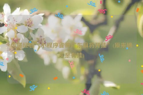 传递经验“小程序雀神广东麻将开挂”(原来确实是有挂)