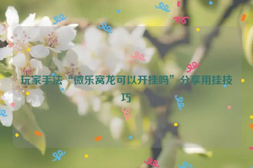 玩家手法“微乐窝龙可以开挂吗”分享用挂技巧