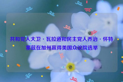 共和党人大卫·瓦拉道和民主党人乔治·怀特塞兹在加州赢得美国众议院选举