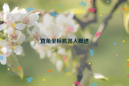 直角坐标机器人概述
