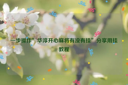 一步操作”华淳开心麻将有没有挂”分享用挂教程